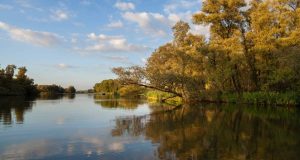 Biesbosch